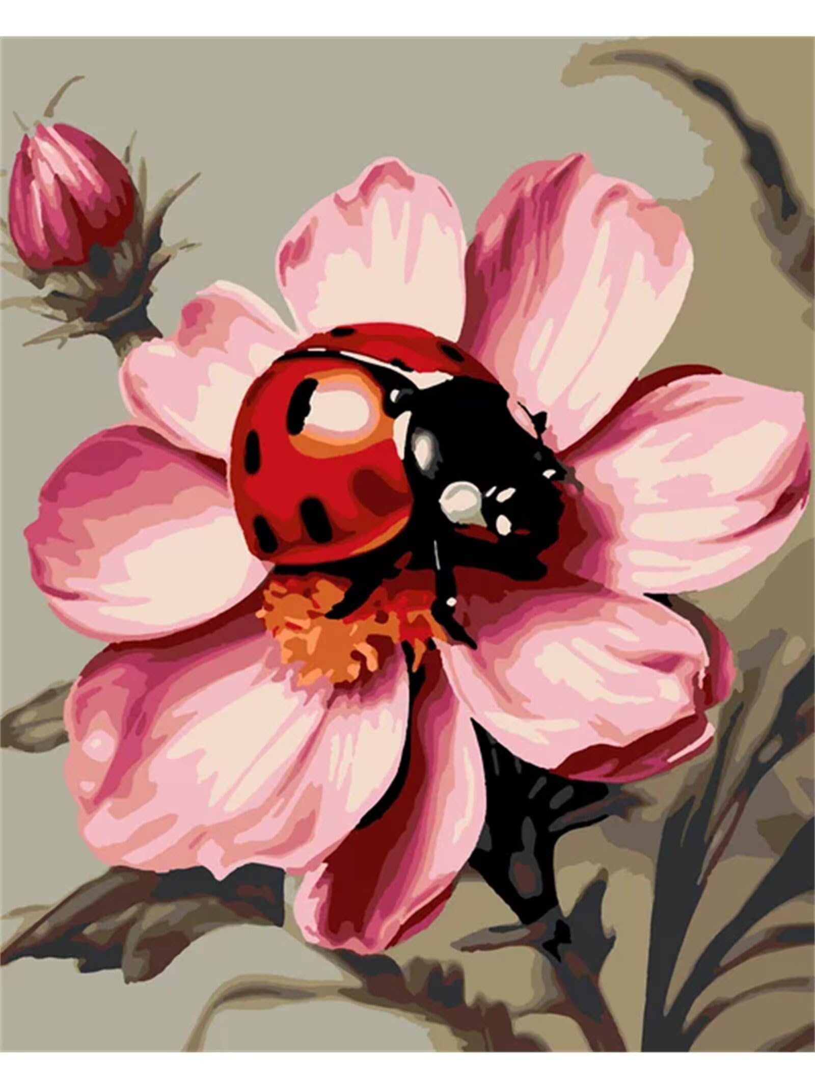 Yoonqun Blumen Marienkäfer Malen nach Zahlen Erwachsene,ohne Rahmen DIY Handgemalt Ölgemälde Kit für Anfänger,55x70cm Leinwand Paint by Numbers Kit mit Pinseln und Acrylfarben für Home Wand Dekor