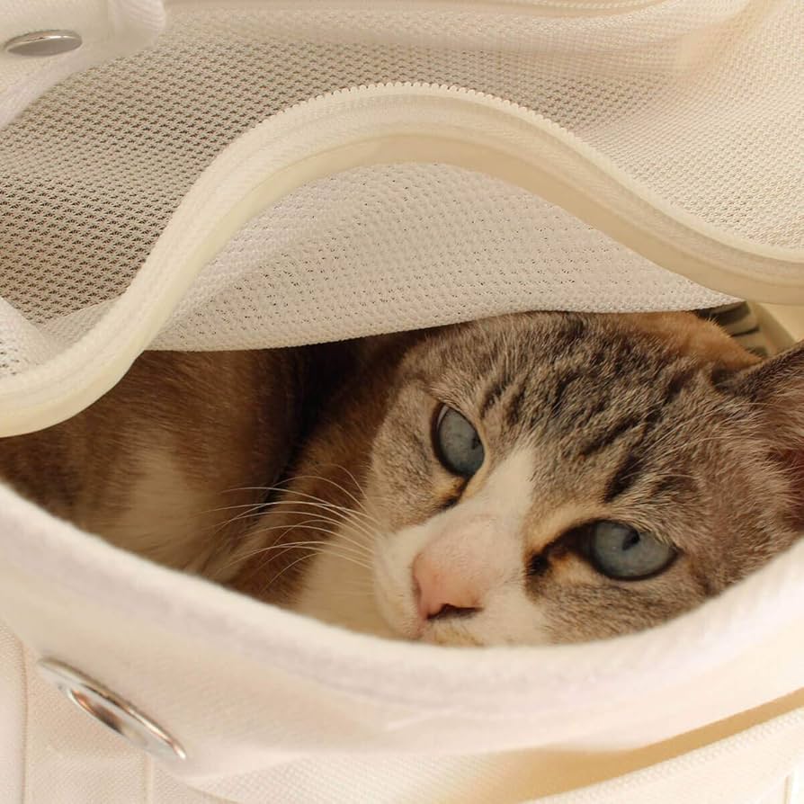 ねこずきなトート　nekozuki ネイビー　猫　キャリーバッグ 楽天市場】猫 ペットキャリー 軽量 ソフト 寝床 [ ねこずきな