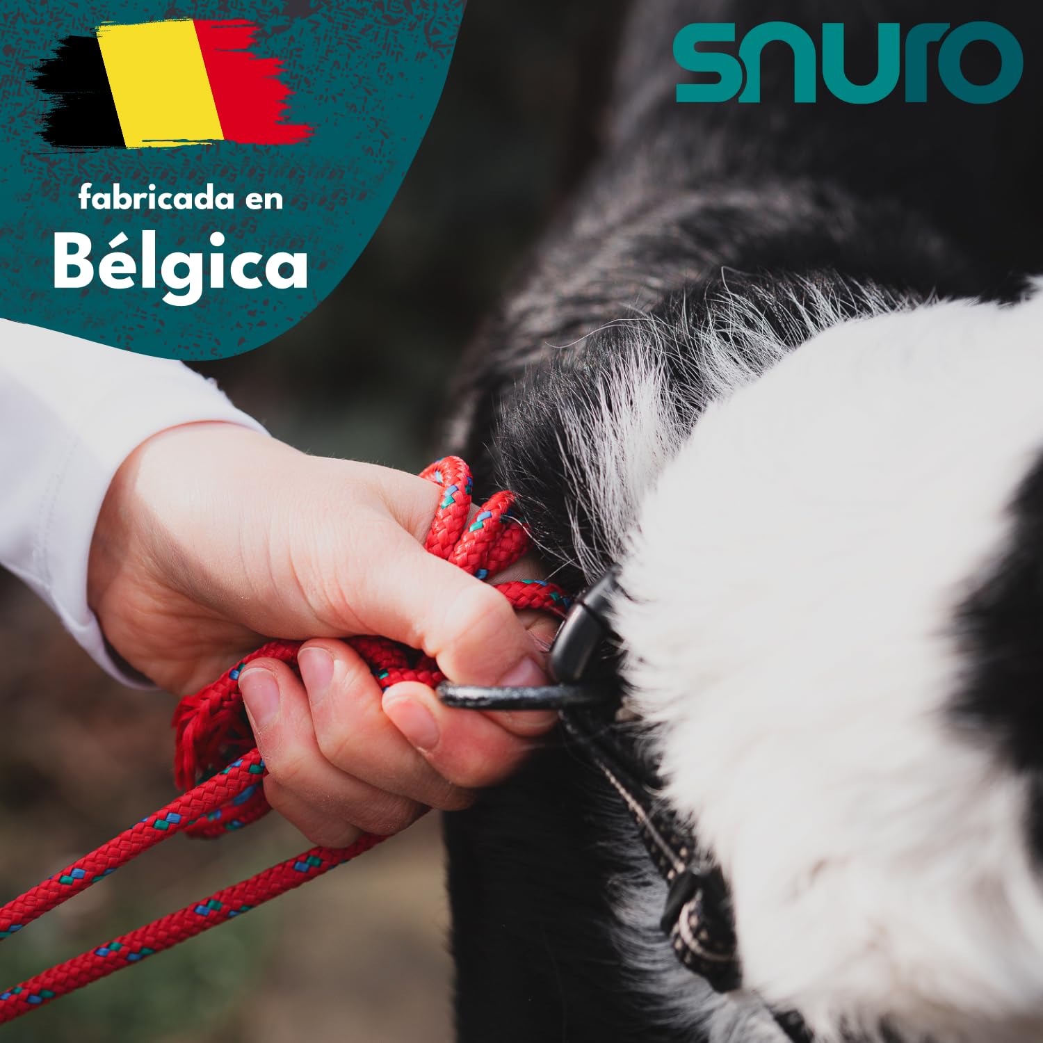 Cuerda de polipropileno SNURO (8 mm, 20 m, verde con rojo y amarillo) – Cuerda trenzada ligera y versátil para exteriores, supervivencia y jardín, ¡no para escalar! - Carga de rotura 918 kg