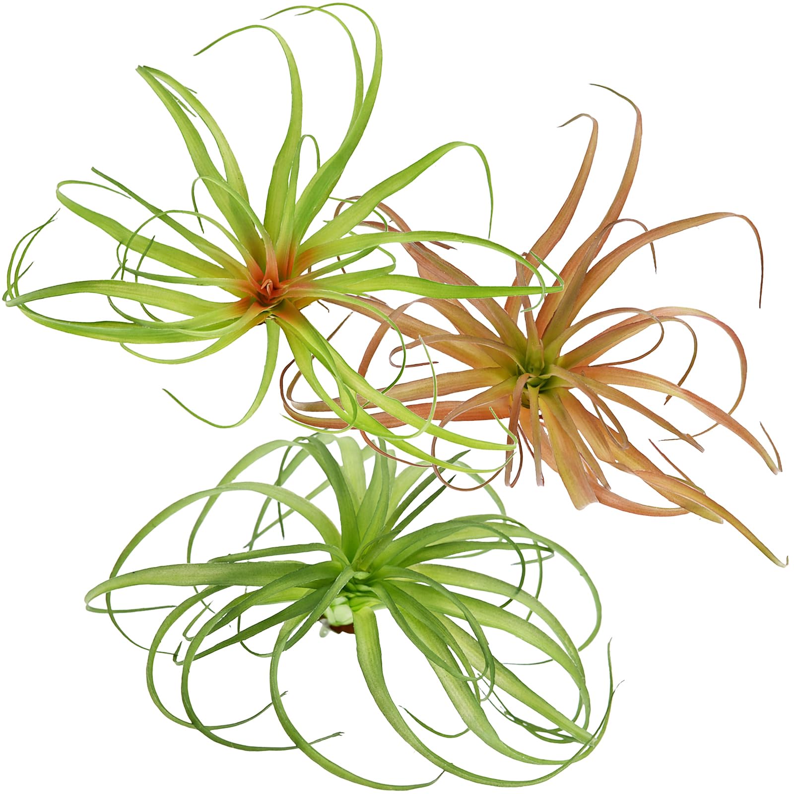 Fake Artificial Tillandsia Air Plants That Look Real 14", Faux Bromeliads for Garden Home Decor 3 Pack, Indoor Outdoor Realistic Stems for Display (