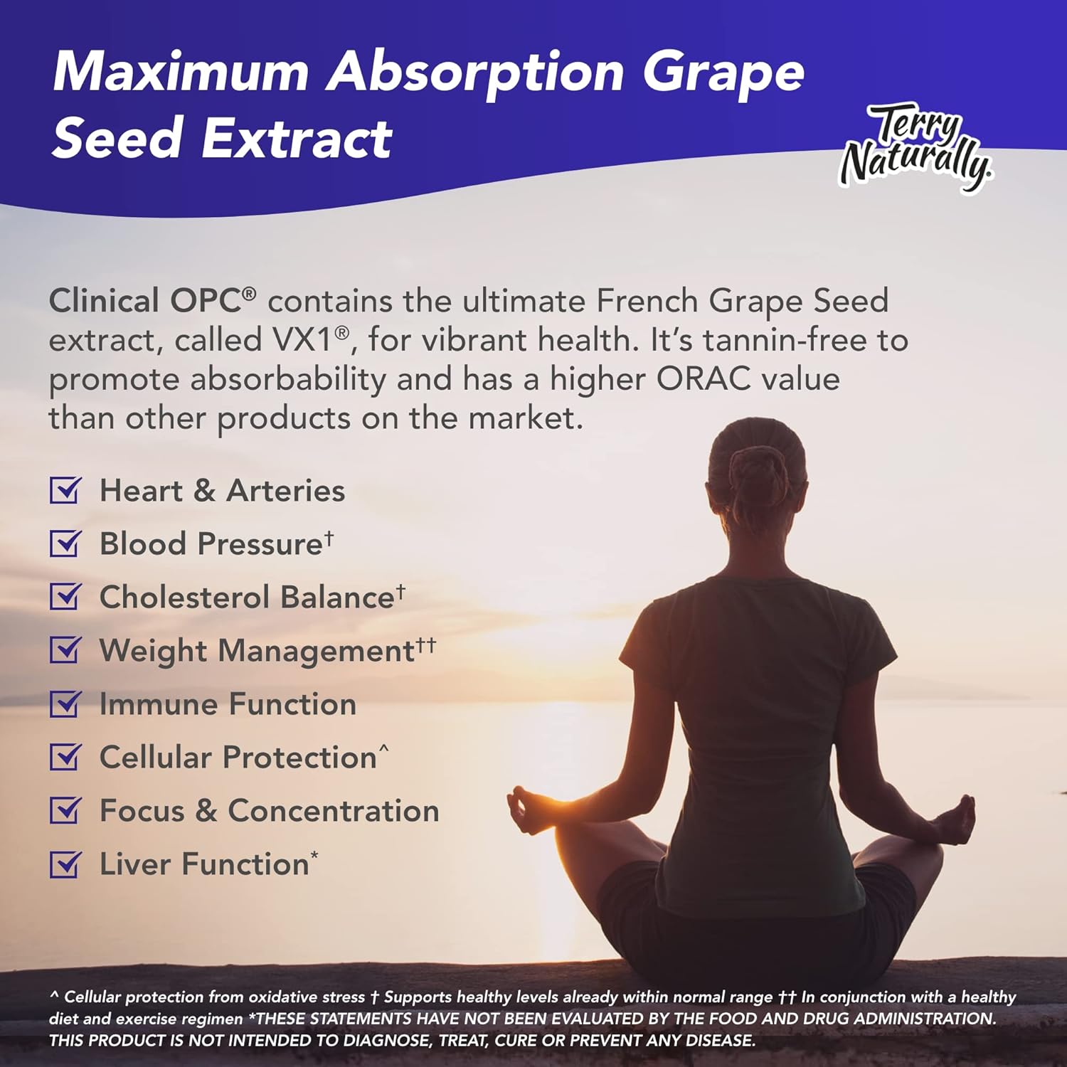 Terry Naturally Clinical OPC 150 mg - 60 Vegan Capsules - French Grape Seed Extract Supplement, Supports Heart & Immune Health, Antioxidant - Non-GMO, Gluten-Free, Kosher - 60 Servings : Health & Household