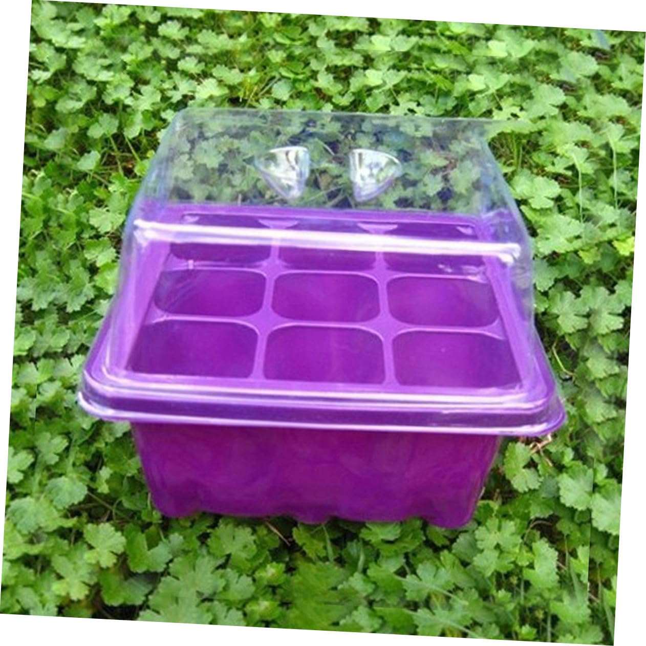 Toyvian 2 Series Caja De Vivero Bandeja para Múltiples Plántulas Maceta para Germinación De Plantas De Interior Bandeja Propagadora De Jardín De Drenaje con Tapa 2 Piezas*2
