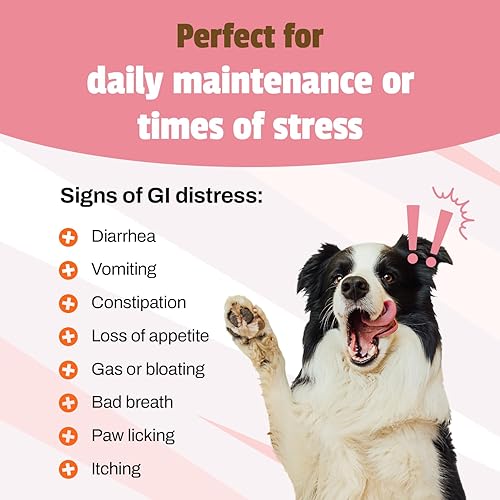 Miniatura 5 de Pet Naturals Suplemento diario probiótico y prebiótico masticable para perros  Suplemento de apoyo digestivo e inmunológico recomendado por