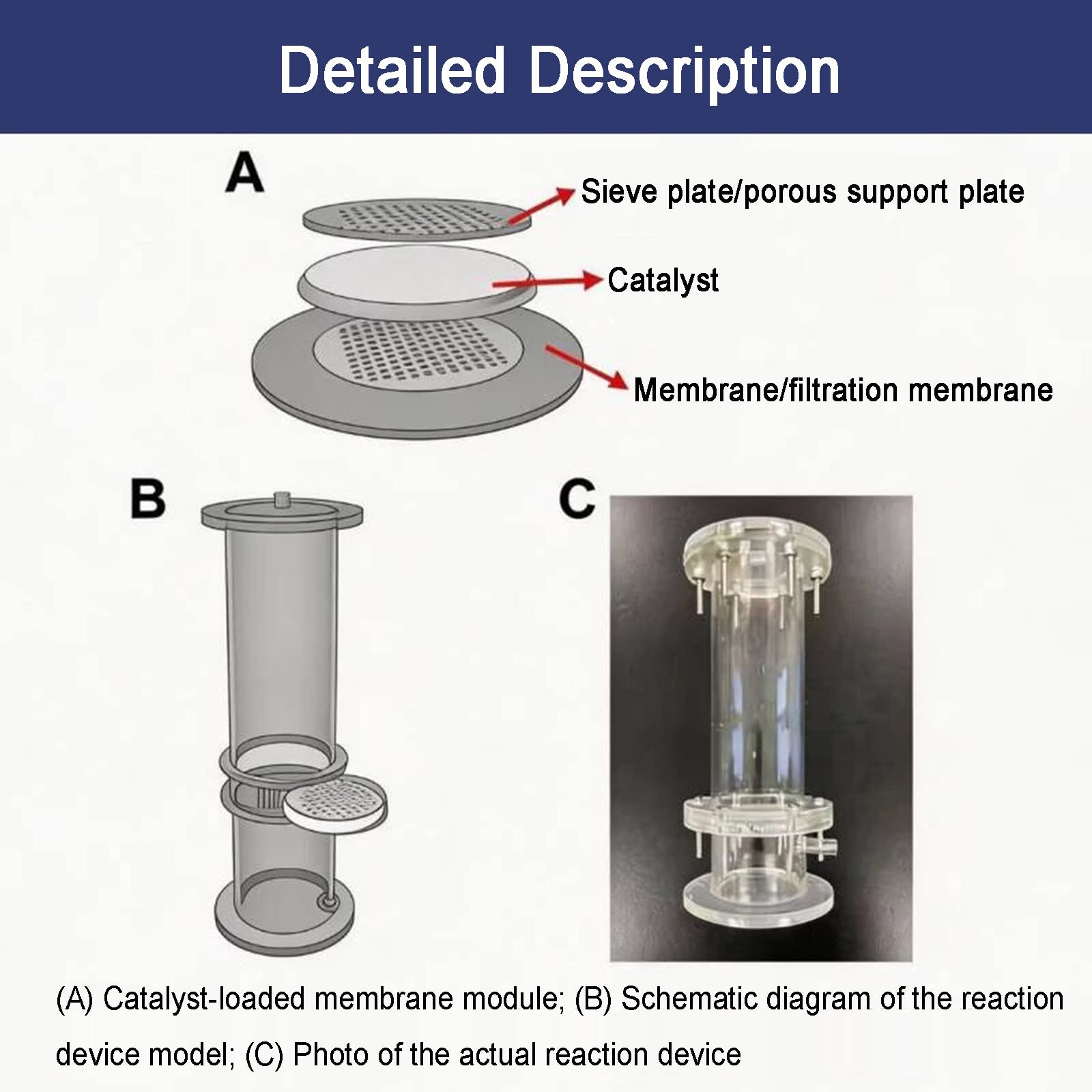 Reactor De Cámara De Medios Filtrantes, Columna De Intercambio Iónico, Columna Visible Acrílica, con Placa Filtrante, para Tratamiento De Agua De Laboratorio