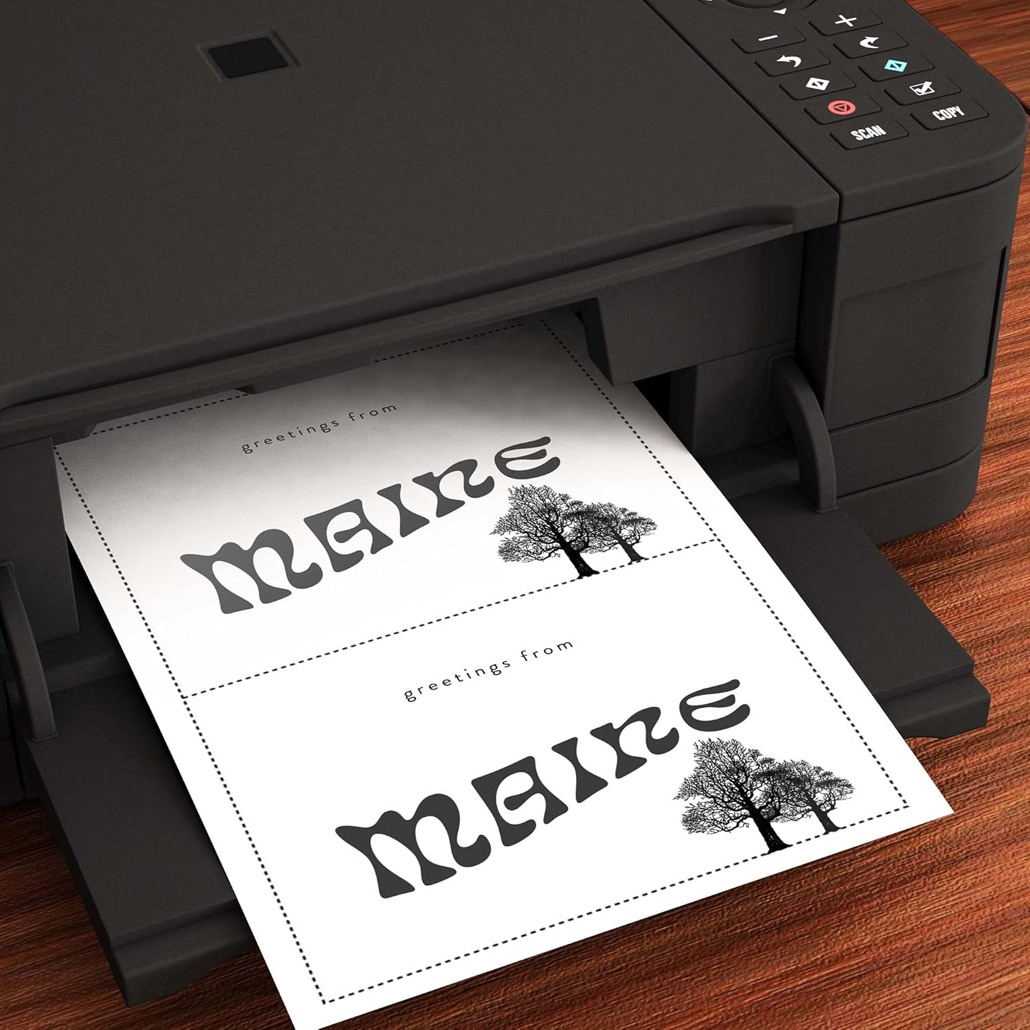 Blank White Post Cards, 5 x 7-100 Sheets / 200 Postcards