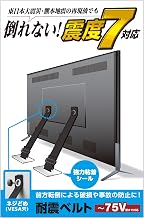 Elecom TS-006N Earthquake Resistant Belt for Televisions, Up to 75 Inches, Screw Down Type