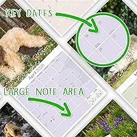 Vista 962 de Razas de Perros 2017