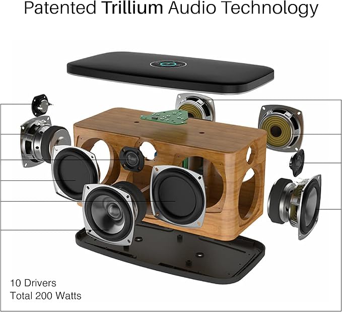 RIVA Upgraded Festival Wi-Fi Bluetooth Hi-Fi speaker, 10 drivers, 200 watts, Support Chromecast, Airplay2, Spotify streaming audio, Multi-room Music, Optical, USB and 3.5mm Aux-in Connectivity (Black)