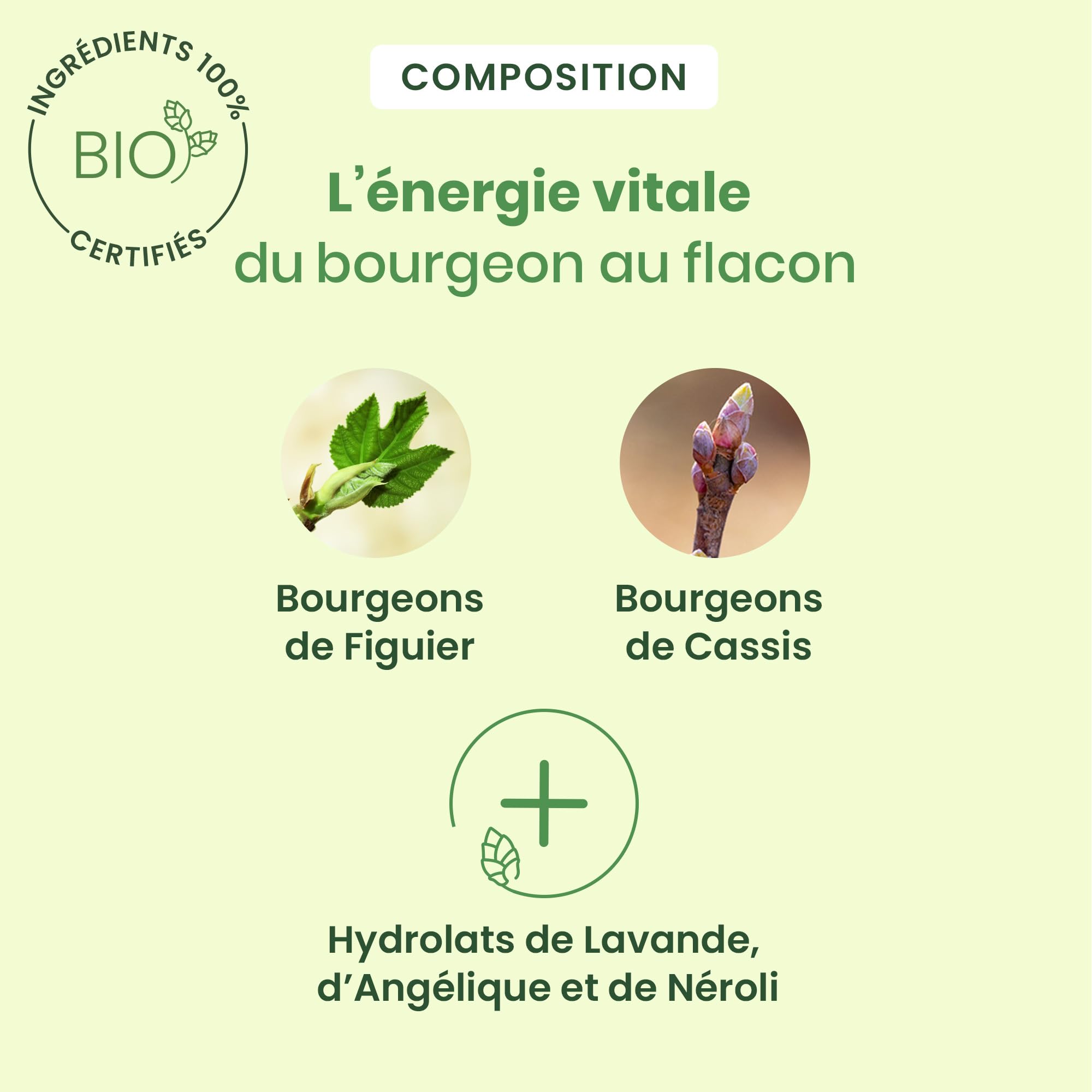 HerbalGem | Calmigem | Ayuda a combatir el estrés | Complejo de gemmoterapia | 15 ML