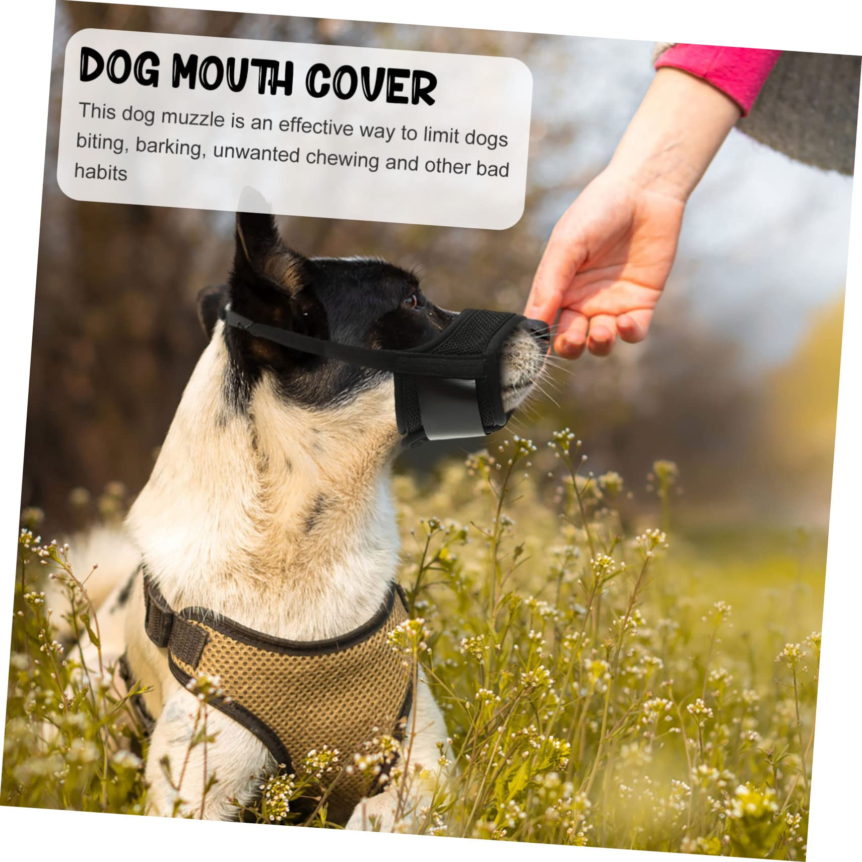 YARNOW 5pièces Muselière pour Chien Ajustable Protège Confortable Et Respirante pour Sorties Extérieur Couleur Noir Scintillant XL