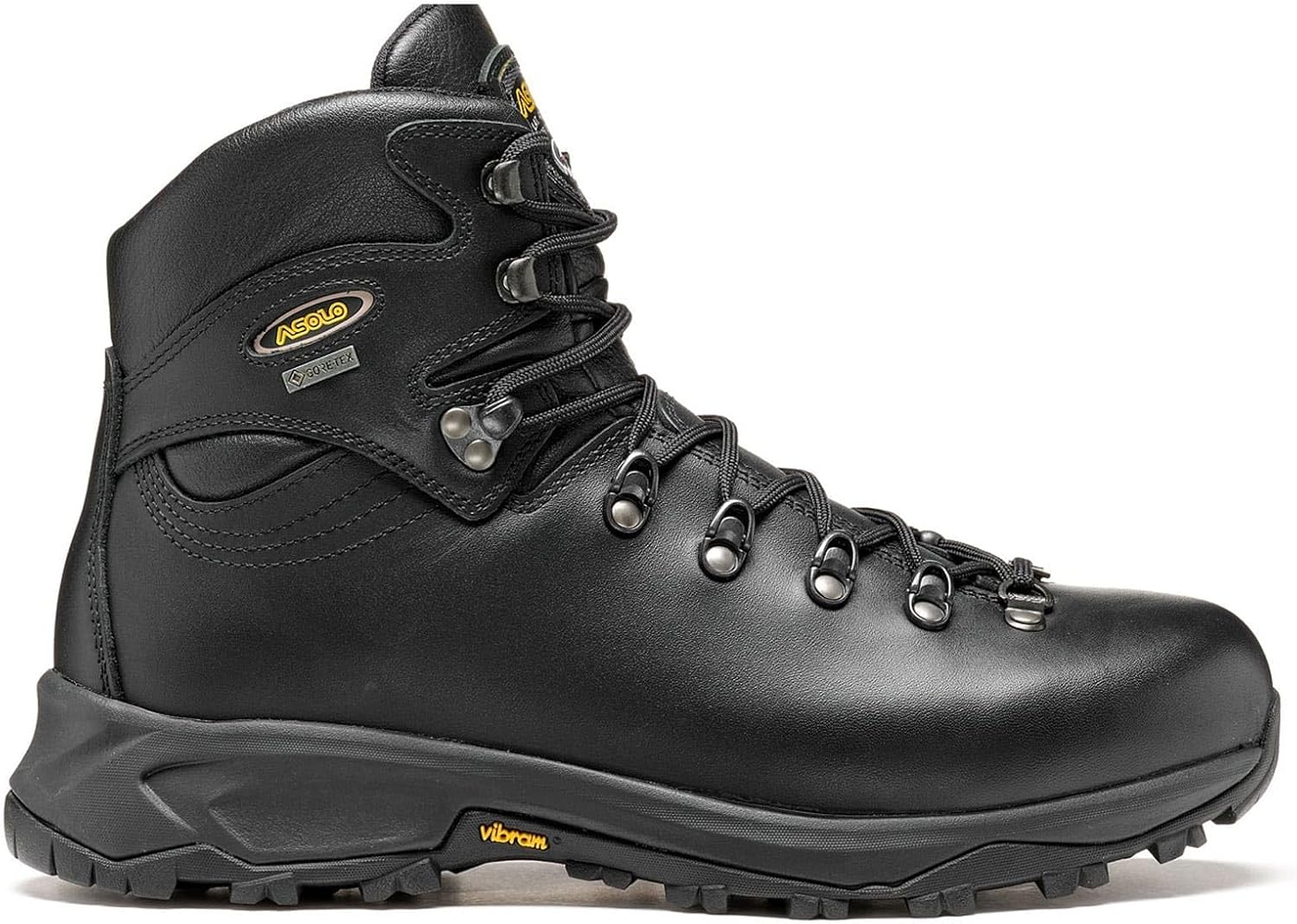 ASOLO Men's 520 Winter GV Boots | Vibram Arctic Grip Sole, Water-Resistant Full Grain Leather Upper, Gore-Tex Insulated, Winter Hiking Boots