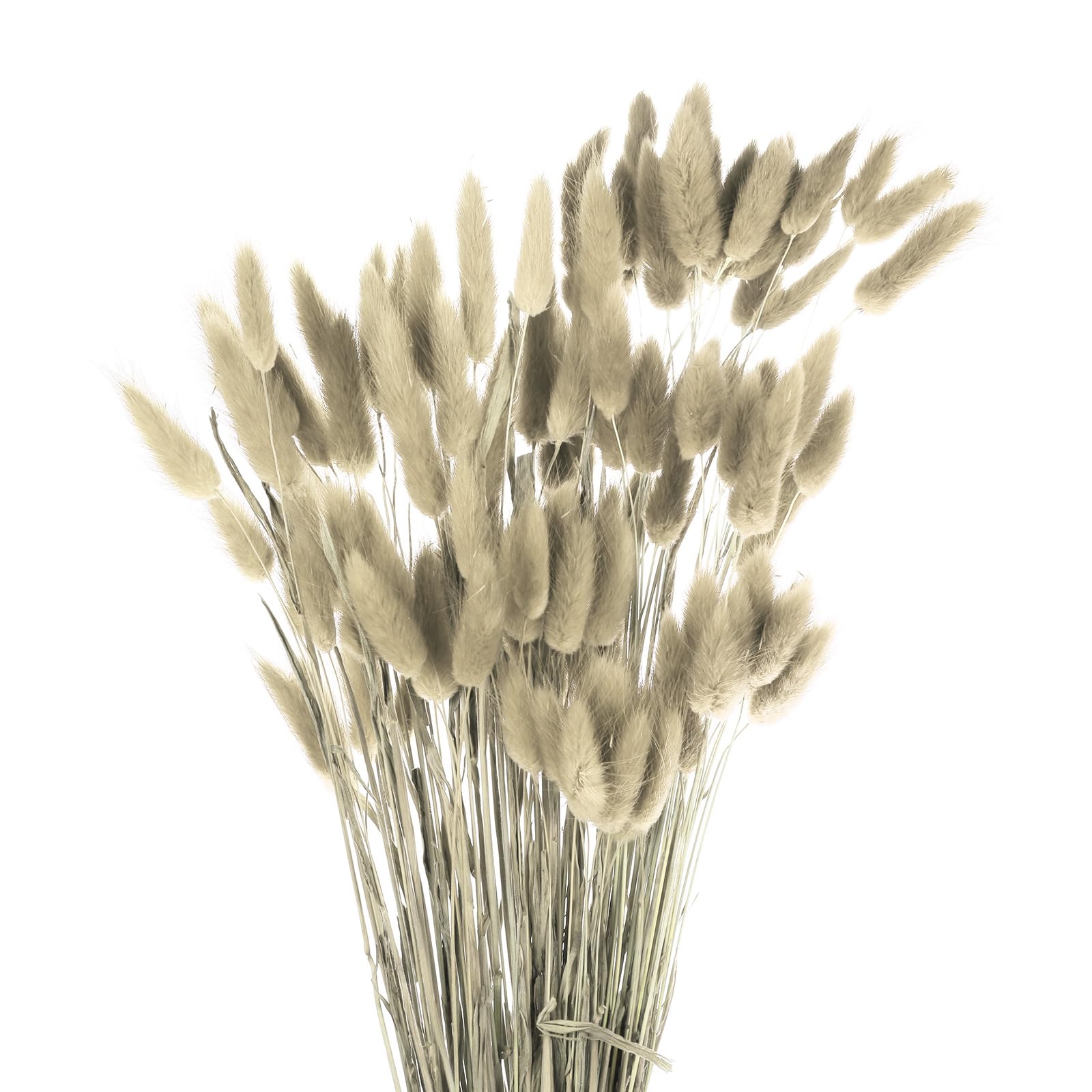 Pampa artificielle 43 cm lot de 50 tiges pour un salon chaleureux et sans poussière