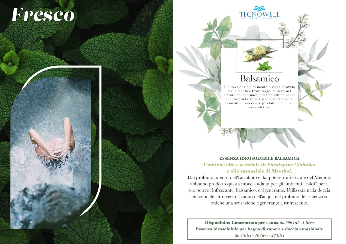 Essenza di Eucalipto Globulus e Mentolo idrosolubile a base di olio essenziale in acqua stabilizzata per bagno turco e doccia emozionale. 10 LT