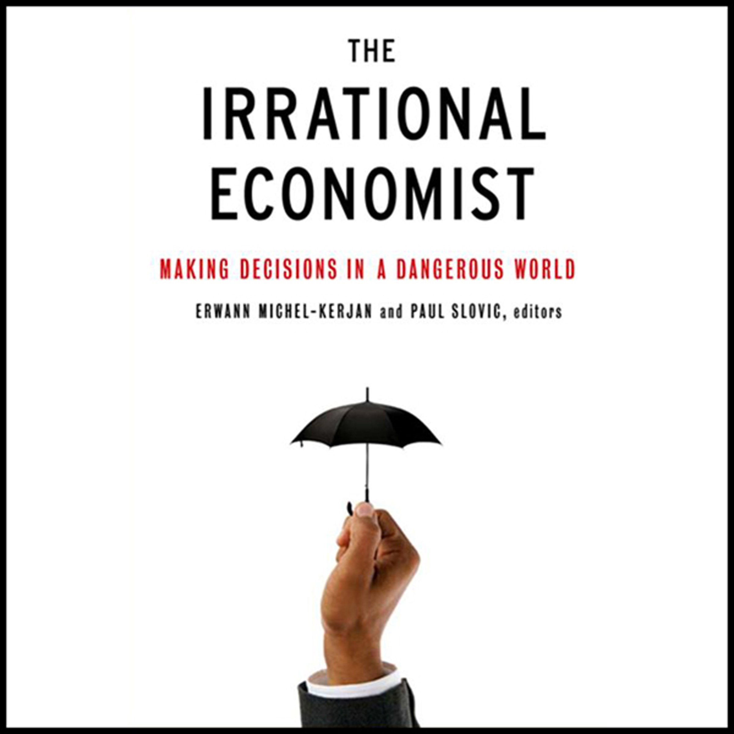 Cover art for The Irrational Economist