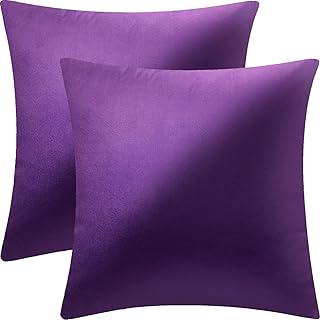 2 Pack 18x18 Pillow Cover Velvet Pillow Covers, Square Throw Pillow Cove...