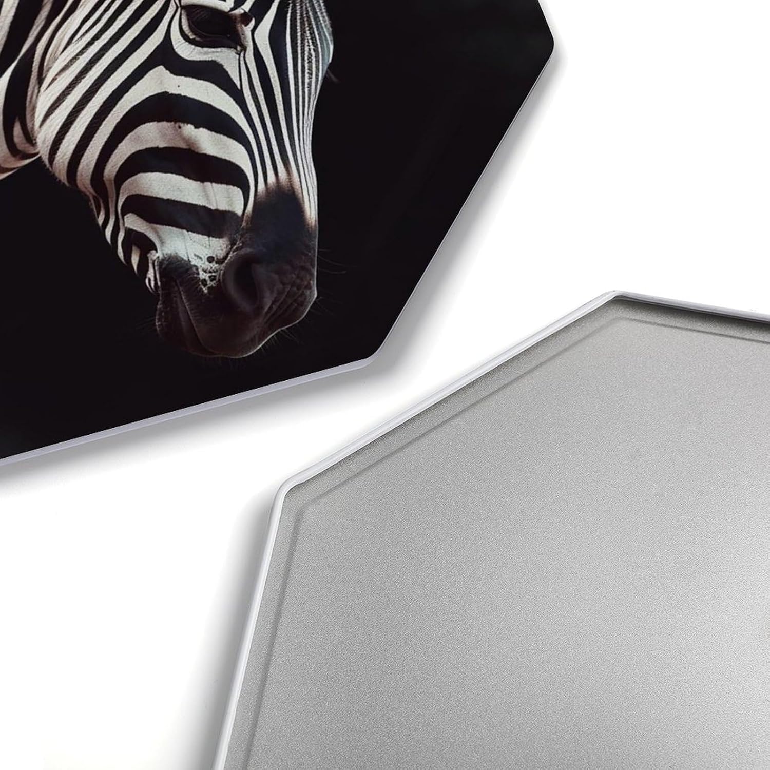 Ctagon Metal Sign for Home, Modern Display Plate for Kitchen, Animal Zebra Plates Accent Hanging Wall Decorations 3PCS for Living Room, Bedroom, Hallway, Hotel