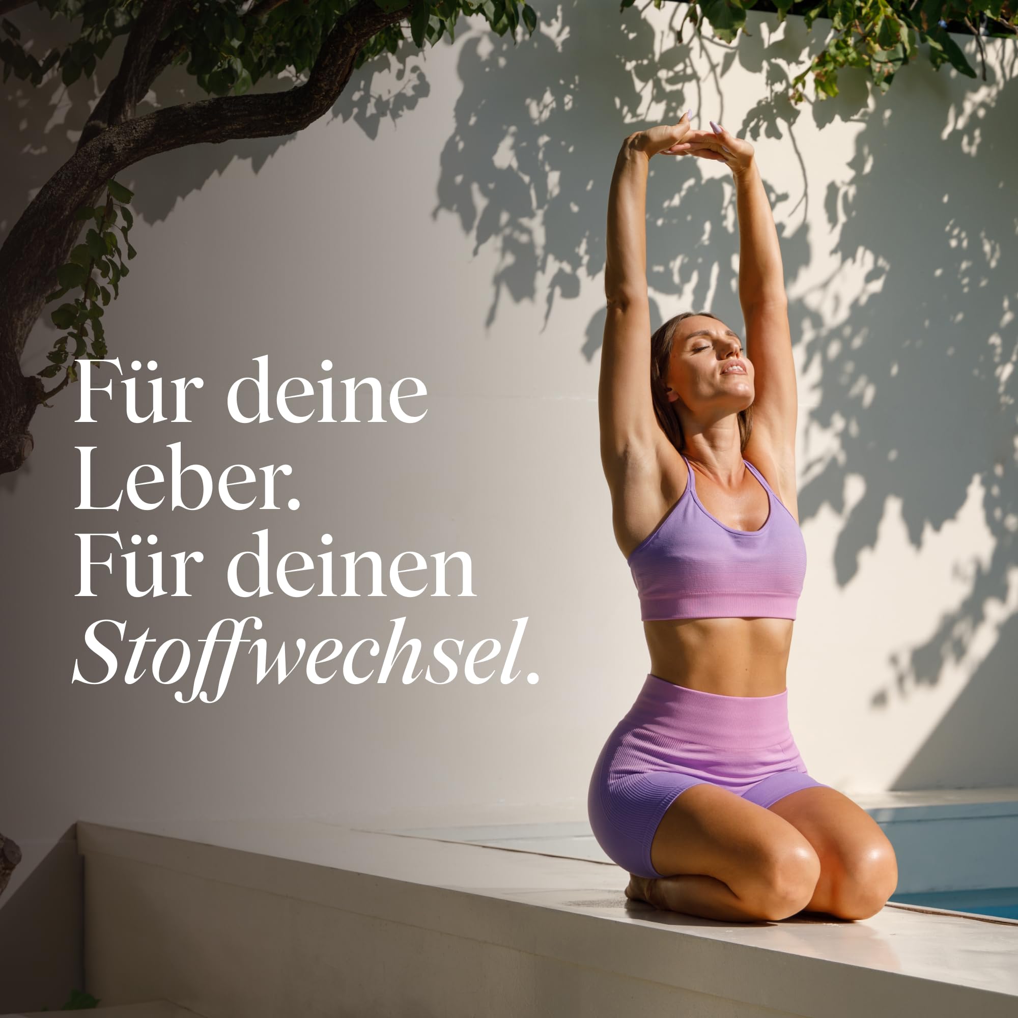 VETAIN Leber Kur Mariendistel Komplex - 80 % Silymarin (200mg) - Löwenzahn, Cholin, Artischocke, Curcuma & Zink - 120 Kapseln - Hochdosiert & vegan - produziert & laborgeprüft in Deutschland
