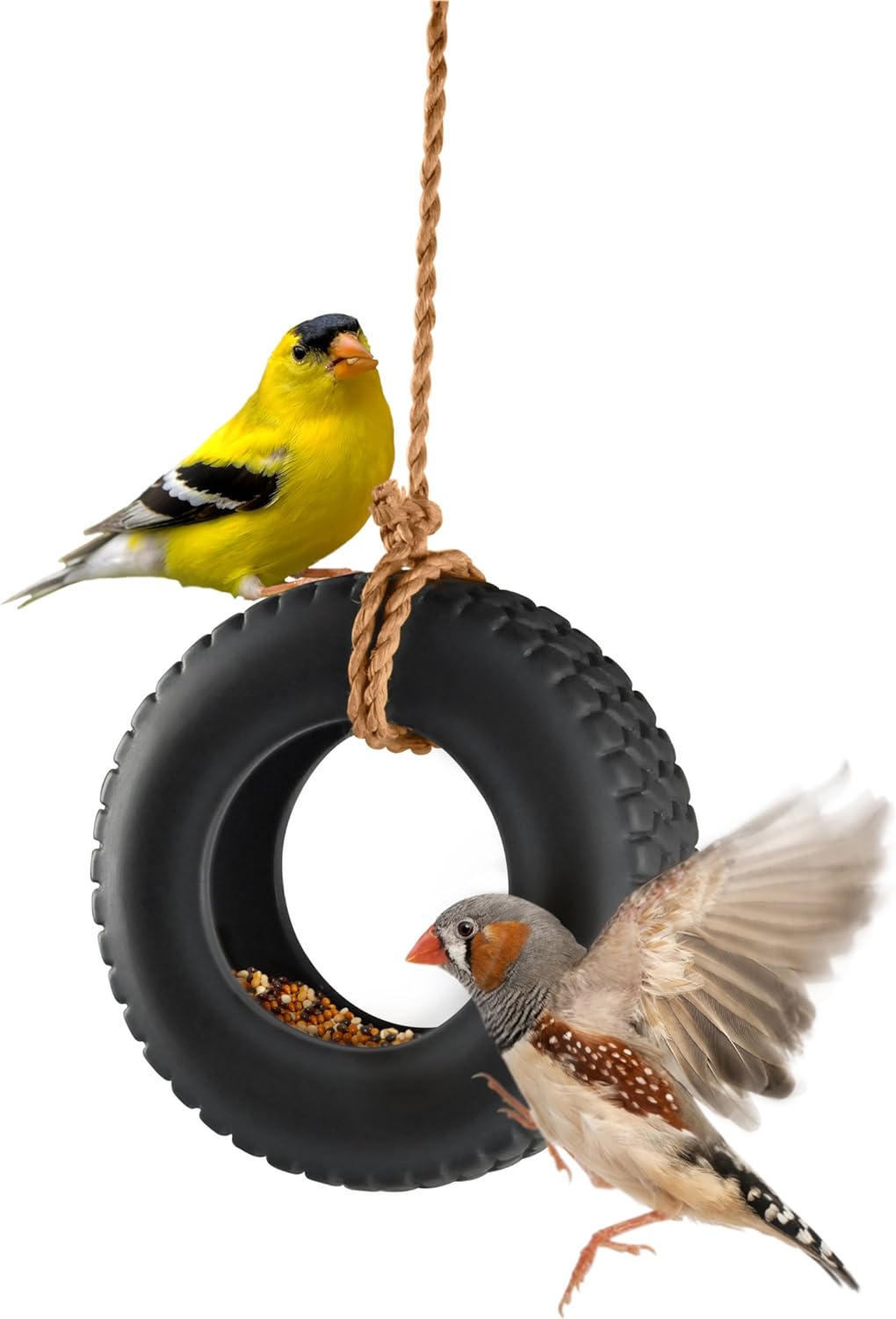 Genuine Fred Swing TIME Tire Swing Bird Feeder - 5132177 : Patio, Lawn & Garden