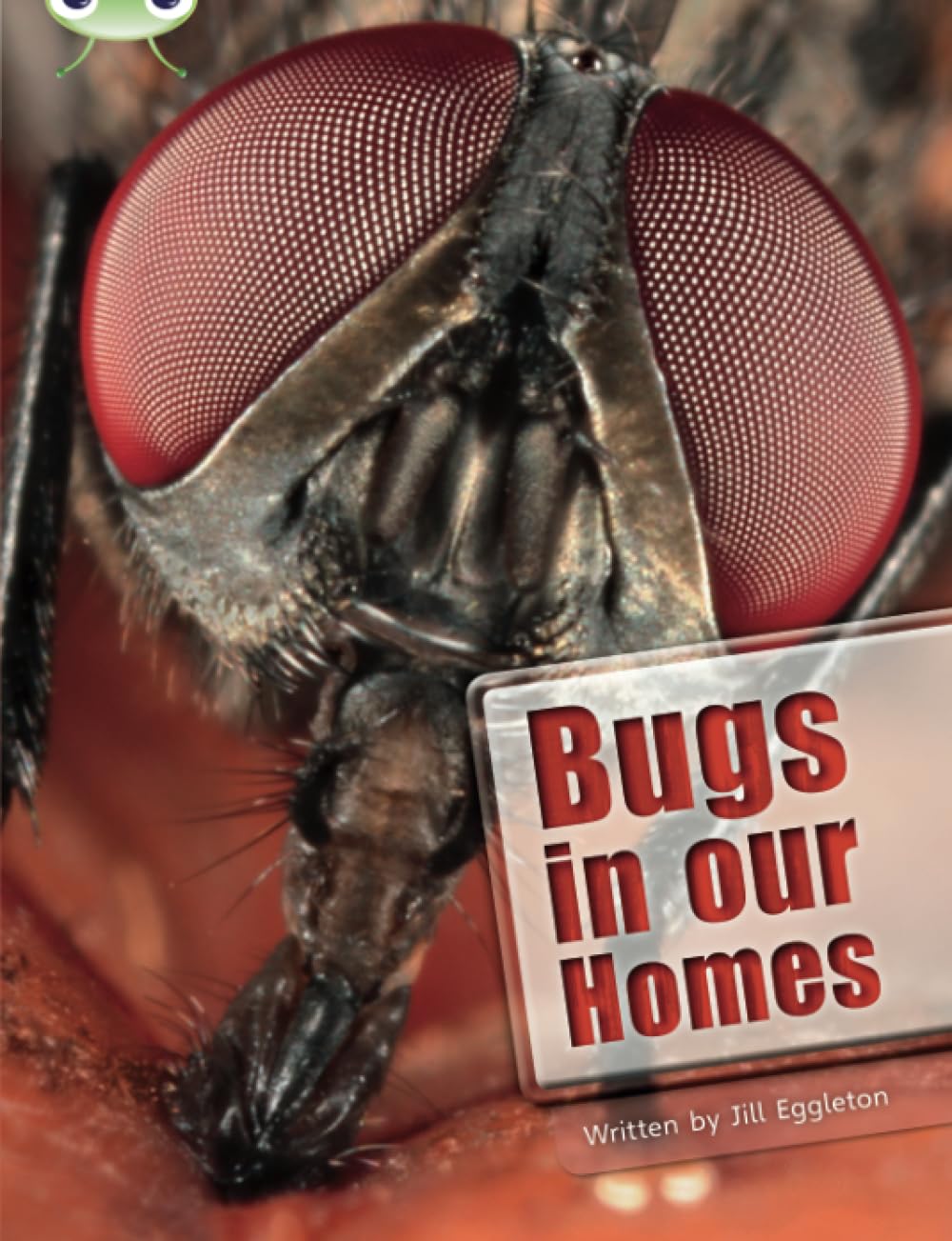 Bug Club Independent Non Fiction Year Two Lime A Bugs in our Homes