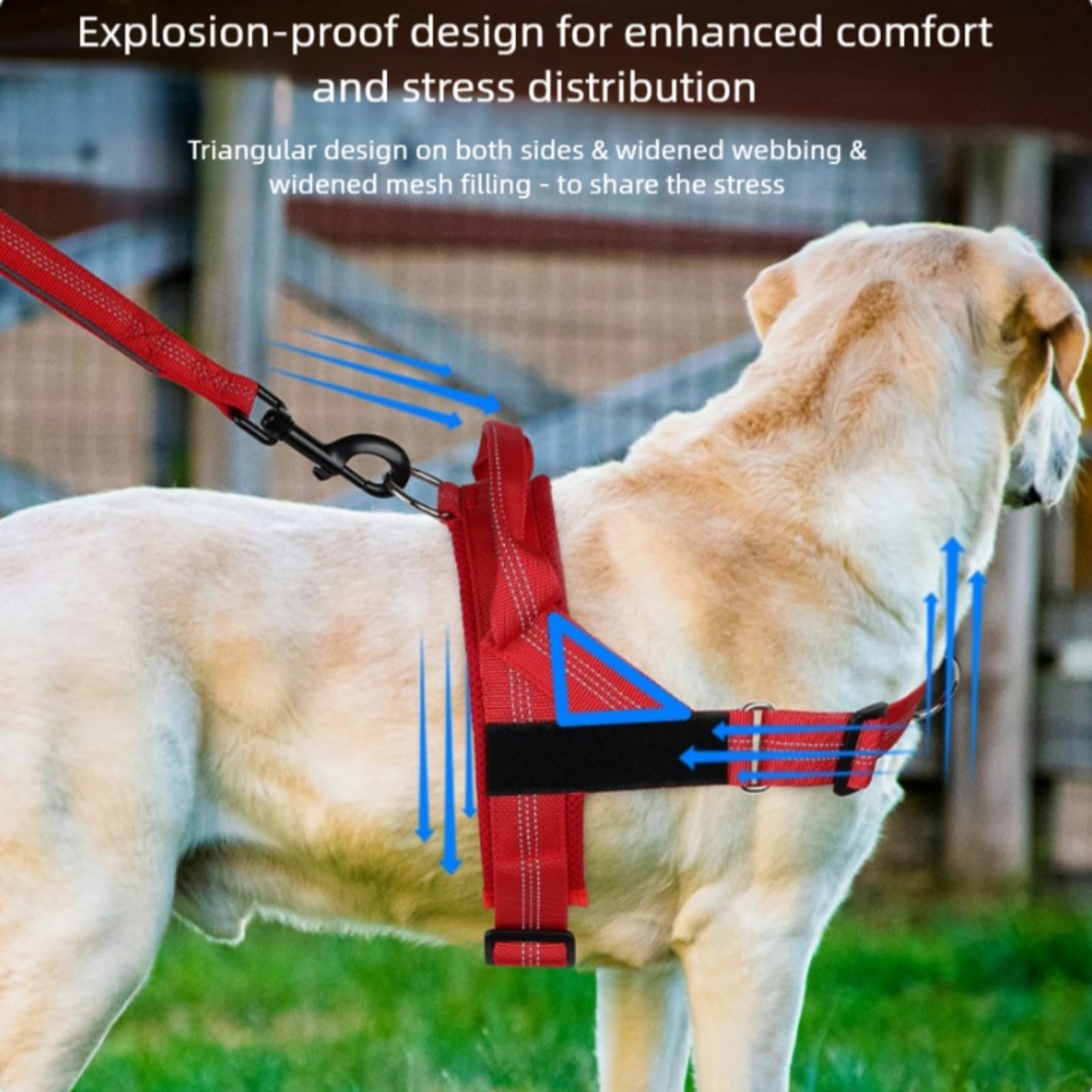 veltrioitalia - Pettorina Veltrio – Controllo Totale, Vestibilità Regolabile, Riflettente per Cani Piccoli e Med (Arancia,S)