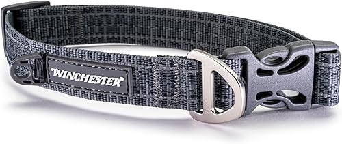 Winchester Pet Signature Ombre Dog Collar Stretch Limo, L