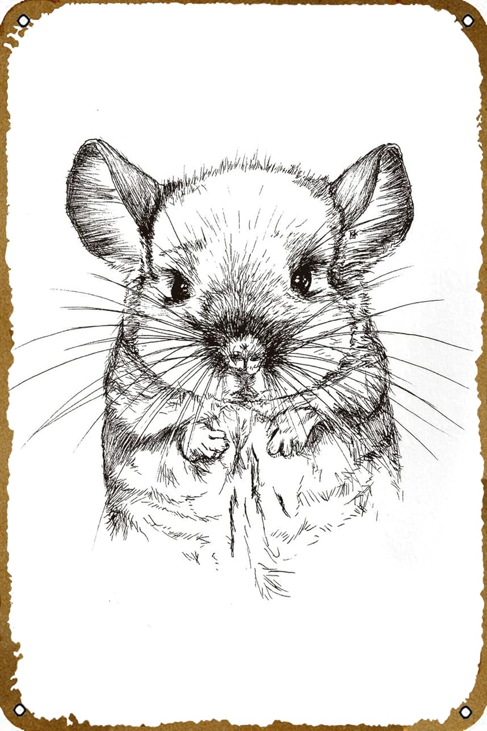 Chinchilla my Love poster Retro tin Sign Wall Art Morocco Ubuy