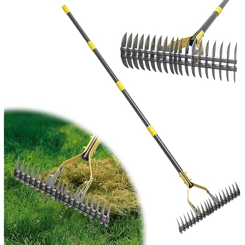 Thatch Rake,55 Inch Garden Thatching Rake for Grass Removal, 15 Inch Wide Heavy Duty 19 Teeth Steel Metal Garden Leaf Rakes,Landscaping Raking Garden Tools for Lawn Care Loosening Leveling Soil Mulch