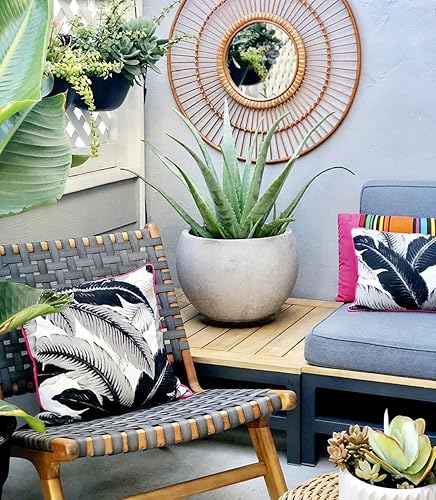 Miniatura 9 de WallyGrow Maceta ecológica para pared, crea una pared para plantas con macetas colgantes para uso en interiores o exteriores (blanco, 9)