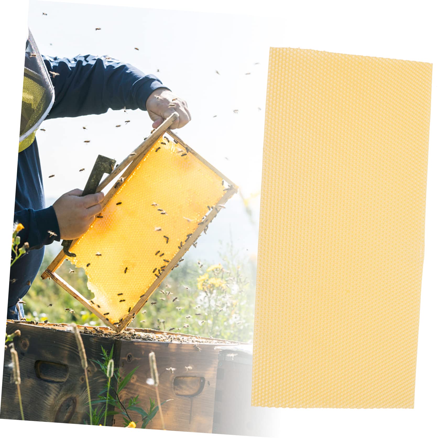 Fogli Cerei Apicoltura Beehive Waxed Foundation Sheet 30 Pezzi | Cera D'api Gialla, Aroma Lieve e Resa Elevata, per Progetti Fai da Te e Verniciatura Mobili