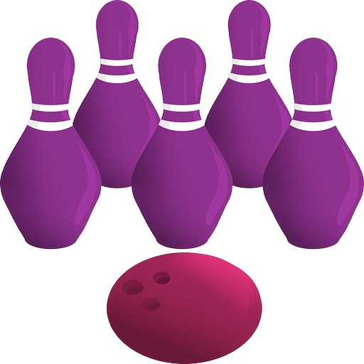 Puzzle game Ferpa