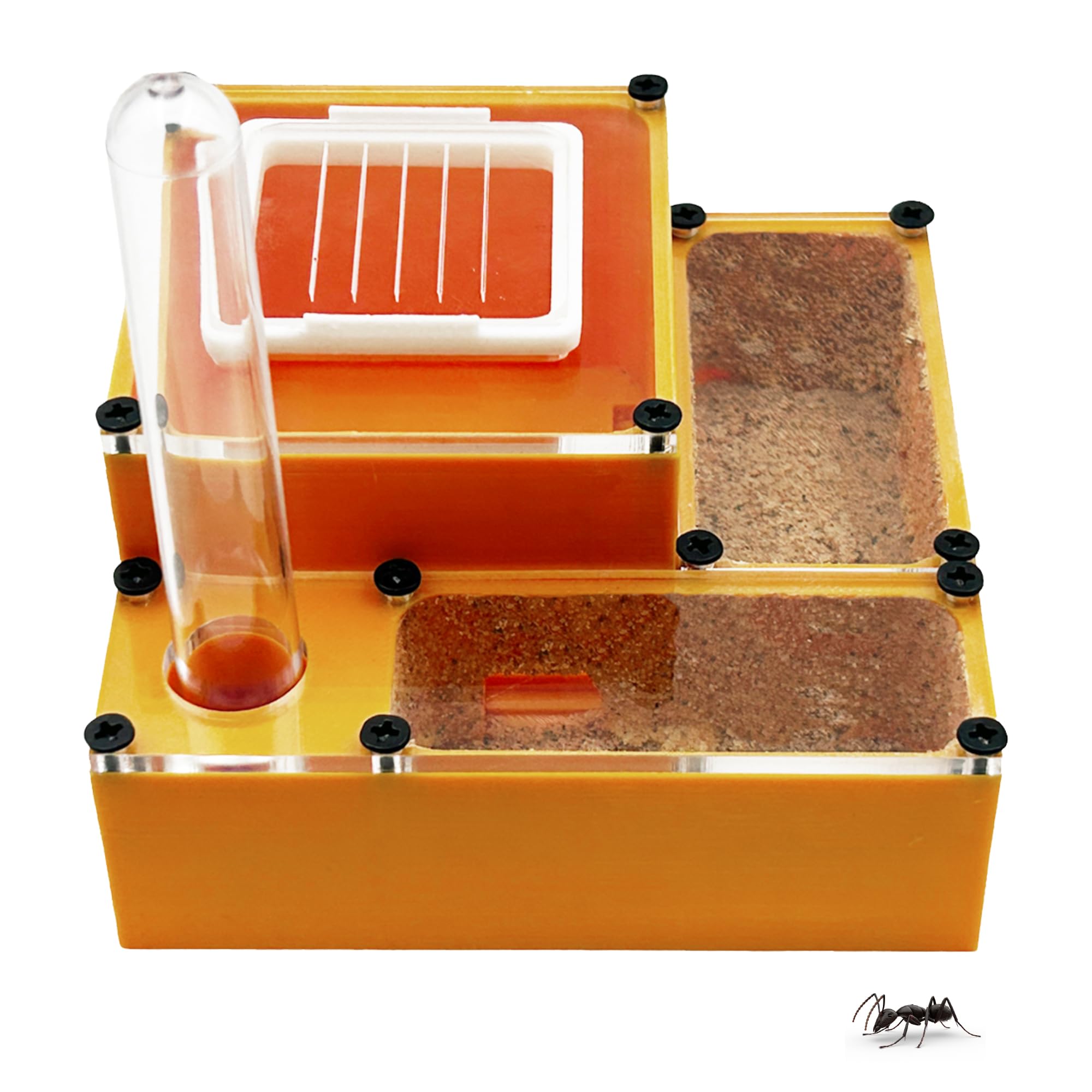 PioneerAnts Professional 3D Printed Ant Formicarium, White Acrylic, Small Enclosed Design with Multiple Chambers, Water Port, 8x4x1.5 Inches (Orange)