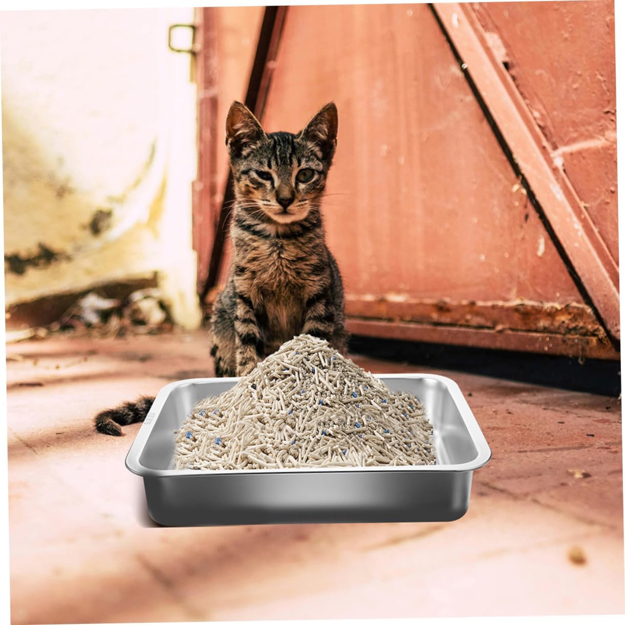 BESPORTBLE Potty Pan Stainless Litter Bin Large Kitten Litter Box Metal Pan Tray Easy Clean Feature