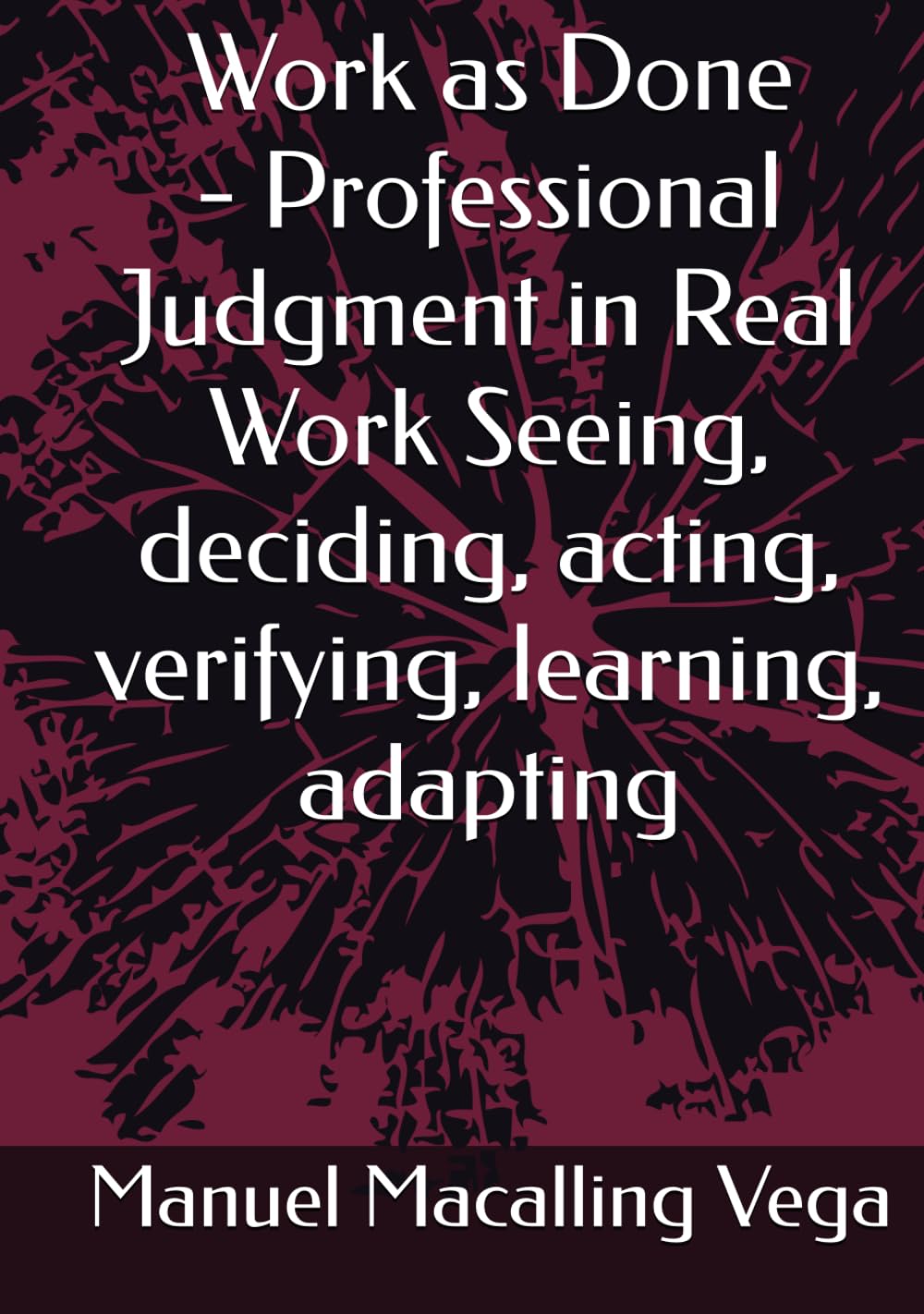 Work as Done - Professional Judgment in Real Work Seeing, deciding, acting, verifying, learning, adapting
