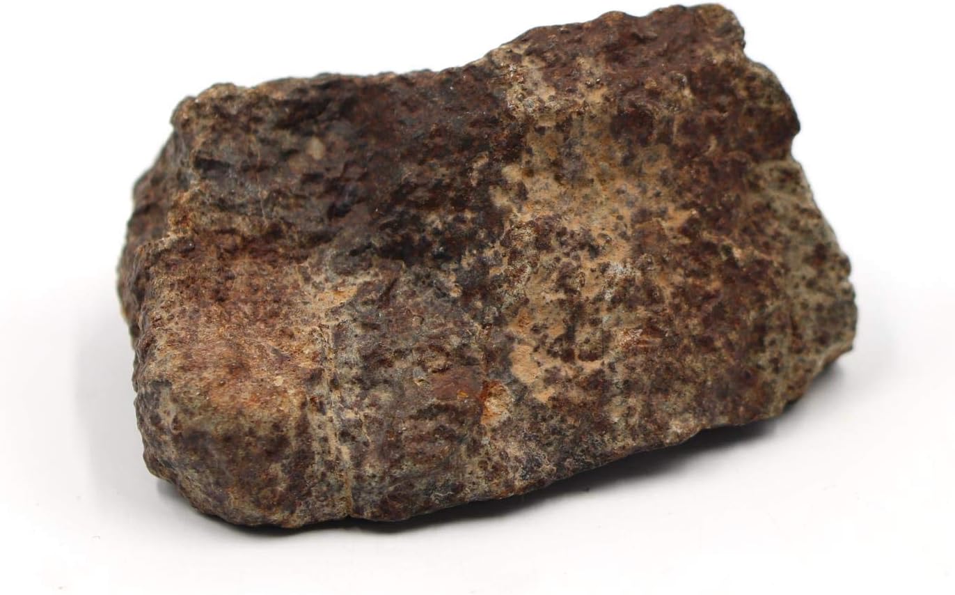 Moroccan Meteorite B Grade Chondrite Genuine 158.7 Grams w/Color Card 15496 9o