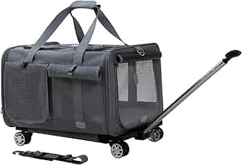 71fL1j5eaRL._AC_UF350,