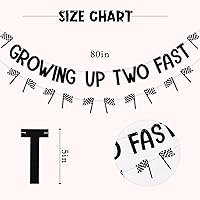Vista 5 de Cartel de Growing Up Two Fast - Cartel de cumpleaños de coche de carreras, decoraciones de segundo cumpleaños de carreras para fiesta