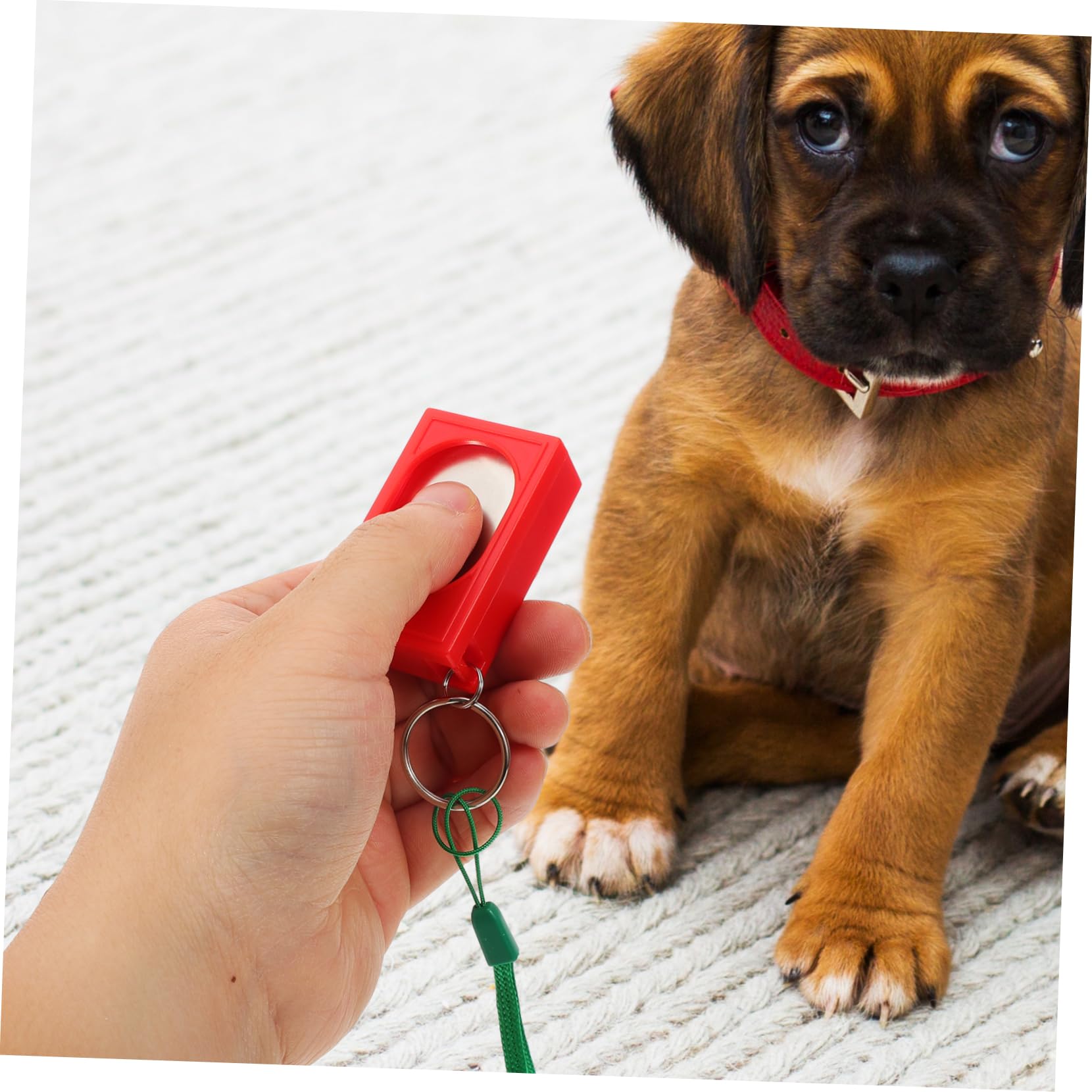 BESPORTBLE 10 Piezas Clicker De Mascota Clicker De Ladridos Cachorro Clicker De Entrenamiento Clickers Interactivos para Perros Dispositivo De Control De Ladridos Clicker De Animales Rojo