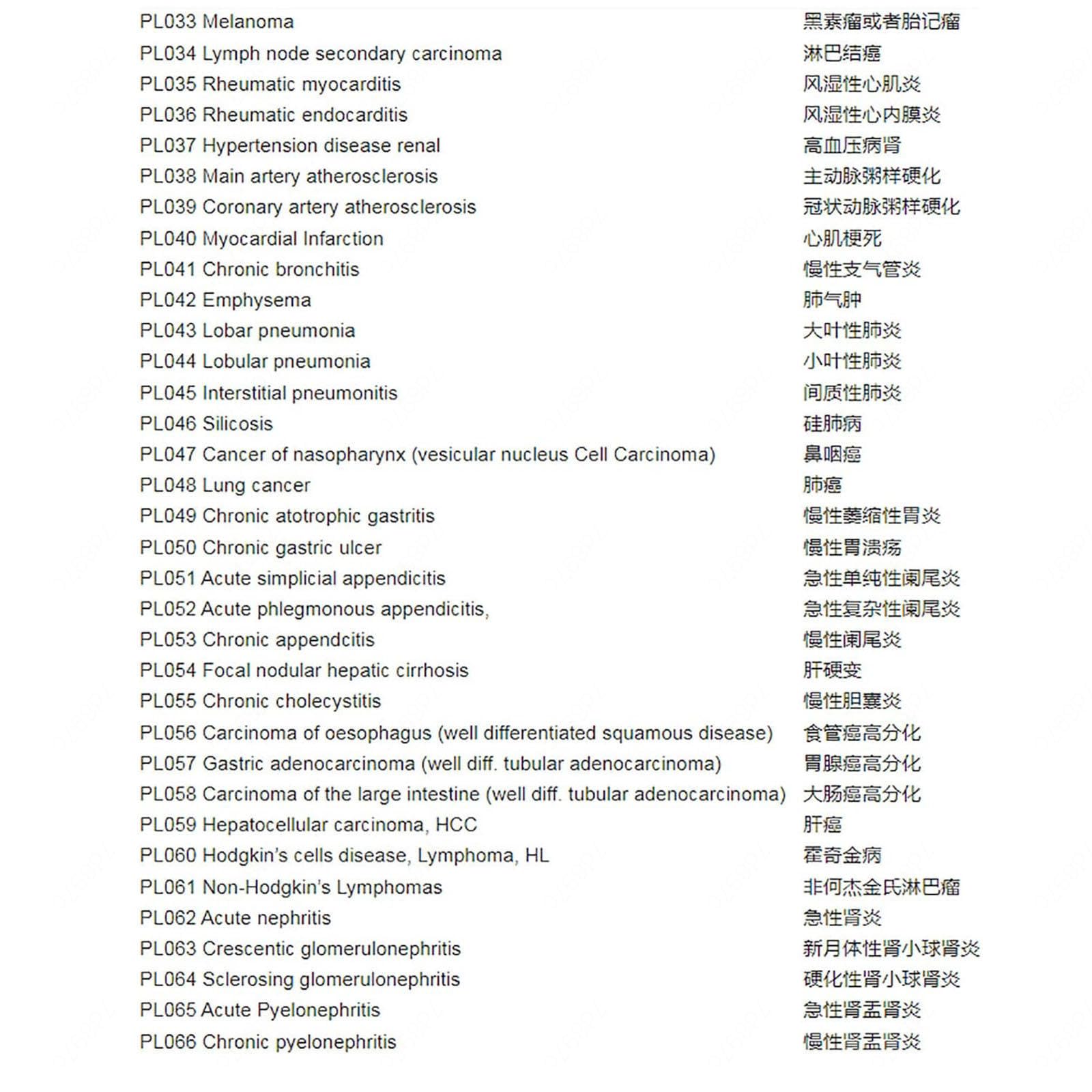 100 Piezas de Muestra de Sección Patológica Humana, Portaobjetos de Observación de Microscopio, Rebanadas Claramente Estructuradas, Material de Vidrio para Enseñanza de Educación de Estudios