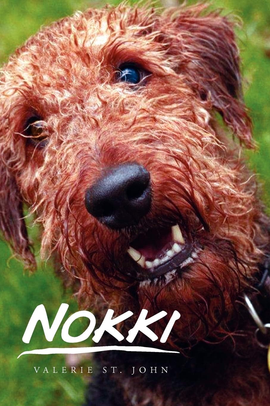 Nokki