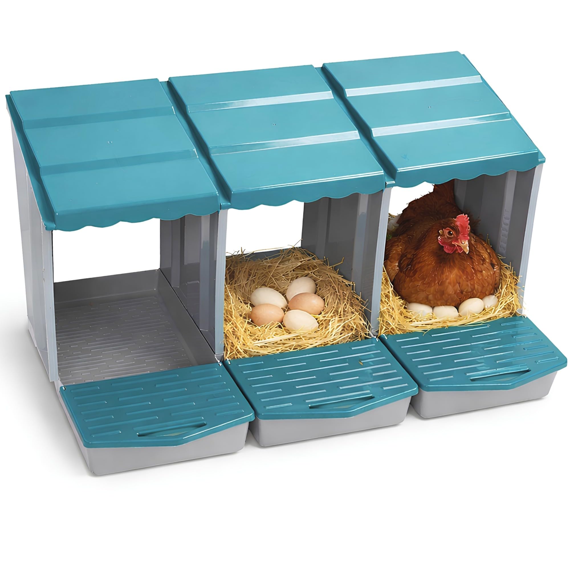NIDO COVA UOVA GALLINE 3 POSTI OVAIOLE CHIOCCIA AUTOMATICA CASSETTO STRUTTURA RESISTENTE POLLAIO ALLEVAMENTO FATTORIA
