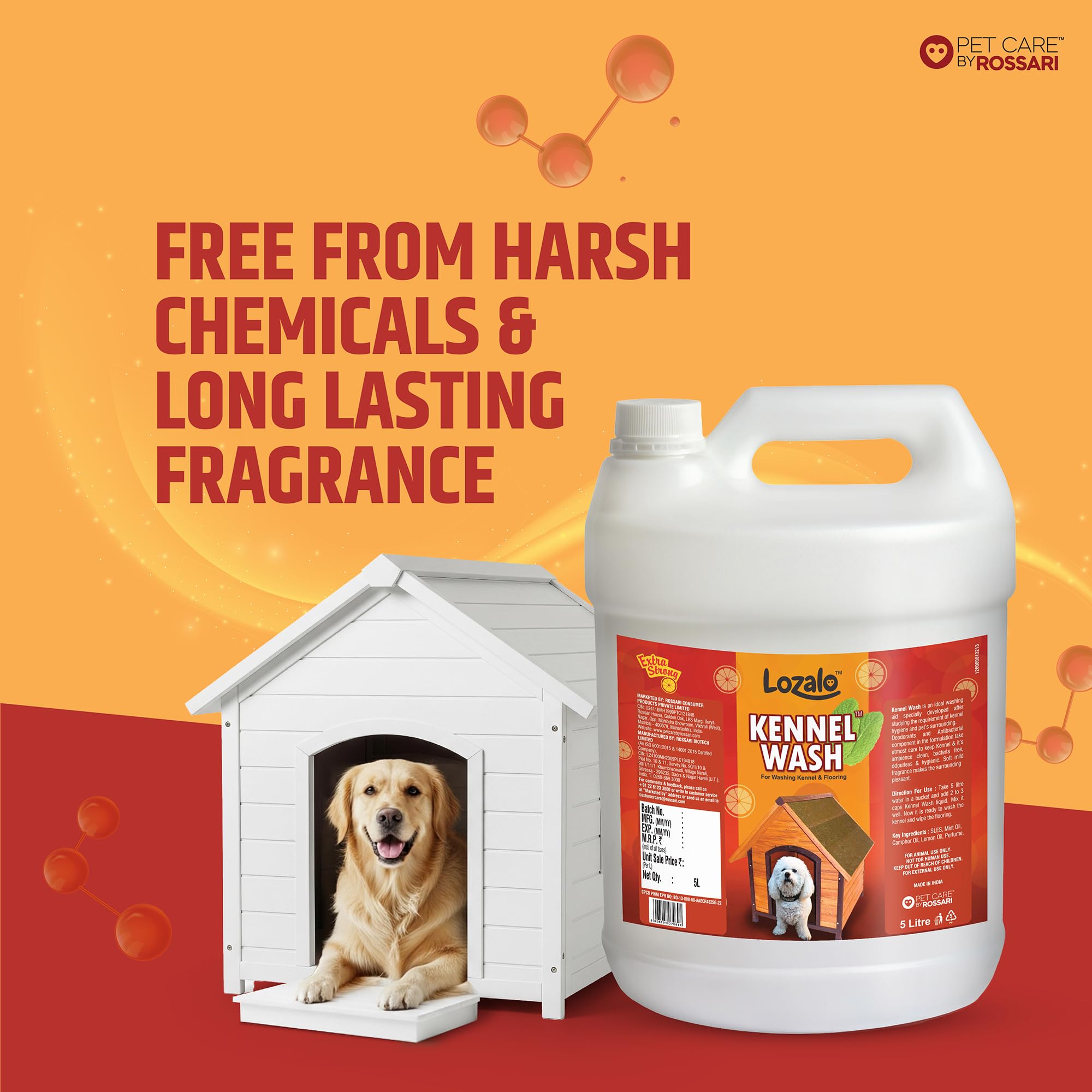 Lozalo Kennel Wash Liquid 5 Litre for Washing Dog Kennel & Flooring, Pet Shops, Veterinary Clinics & Grooming Salons (Red) 3