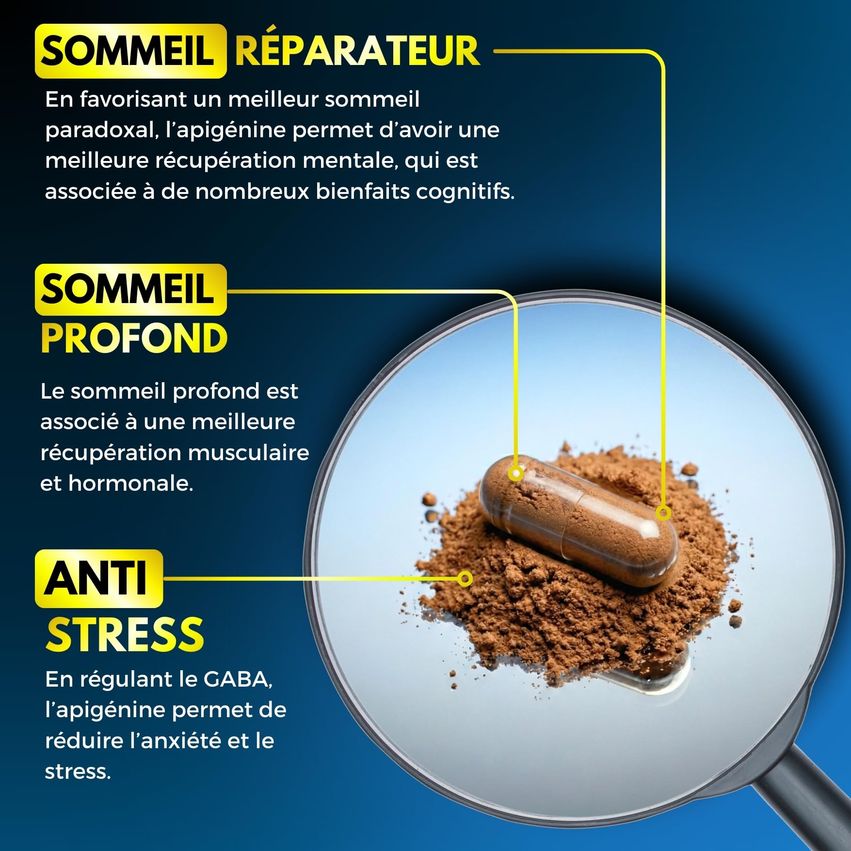 Apigénine Pure ✦ Extrait de Camomille ✦ Relaxation & Sommeil Réparateur ✦ Antioxydant & Longévité ✦ Boost le NAD+ ✦ 100% Naturel & Sans Additifs ✦ Société Française ✦