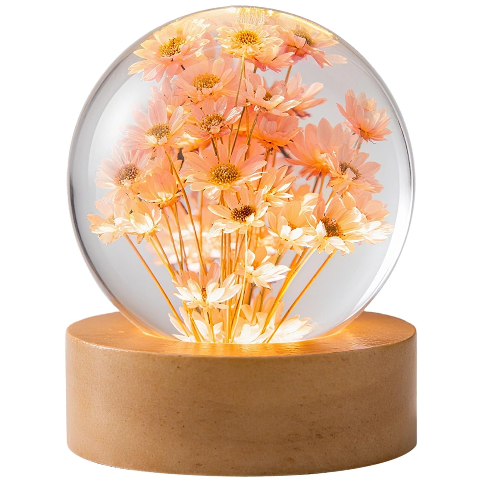 Luz nocturna de bola de cristal, lámpara de escritorio de flores preservadas grabada en 3D con diseño de diente de león y margaritas, luz LED cálida, decoración de mesita de noche alimentada por USB