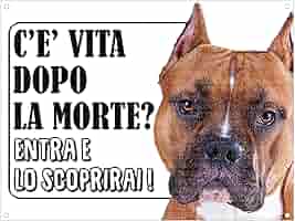 Targa Metallo Lovelytiles - ATTENTI Al Cane Rottweiler Con Scritta 'Esiste La Vita Dopo La Morte?' - Foto 5