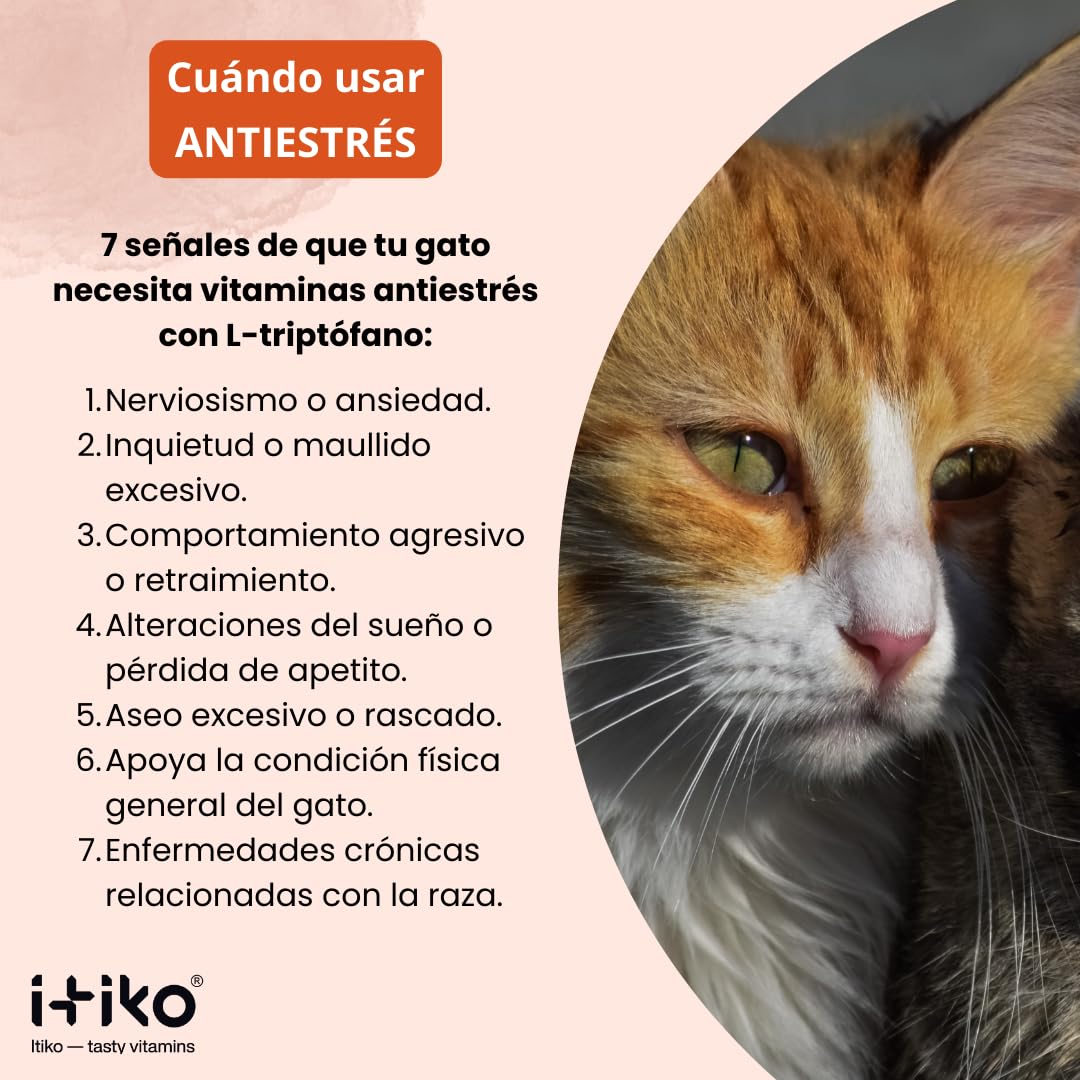 Vitaminas para Gatos | Delicioso Complemento Alimenticio Calmante Gatos contra el Estrés | Natural Tranquilizante para Gatos | Mejora del Sistema Nervioso