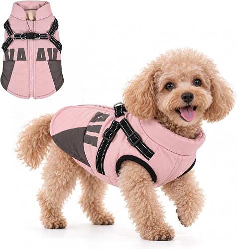 Dog Winter Coat with Harness for Small Dogs, Fleece Lined Zip Dog Jacket, M | Small Dog Winter Jacket, Back Zipper, Chest Stretch, Water-repellent, Adjustable Harness, Fleece Lining, Windproof