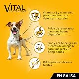 Ver la foto 2
