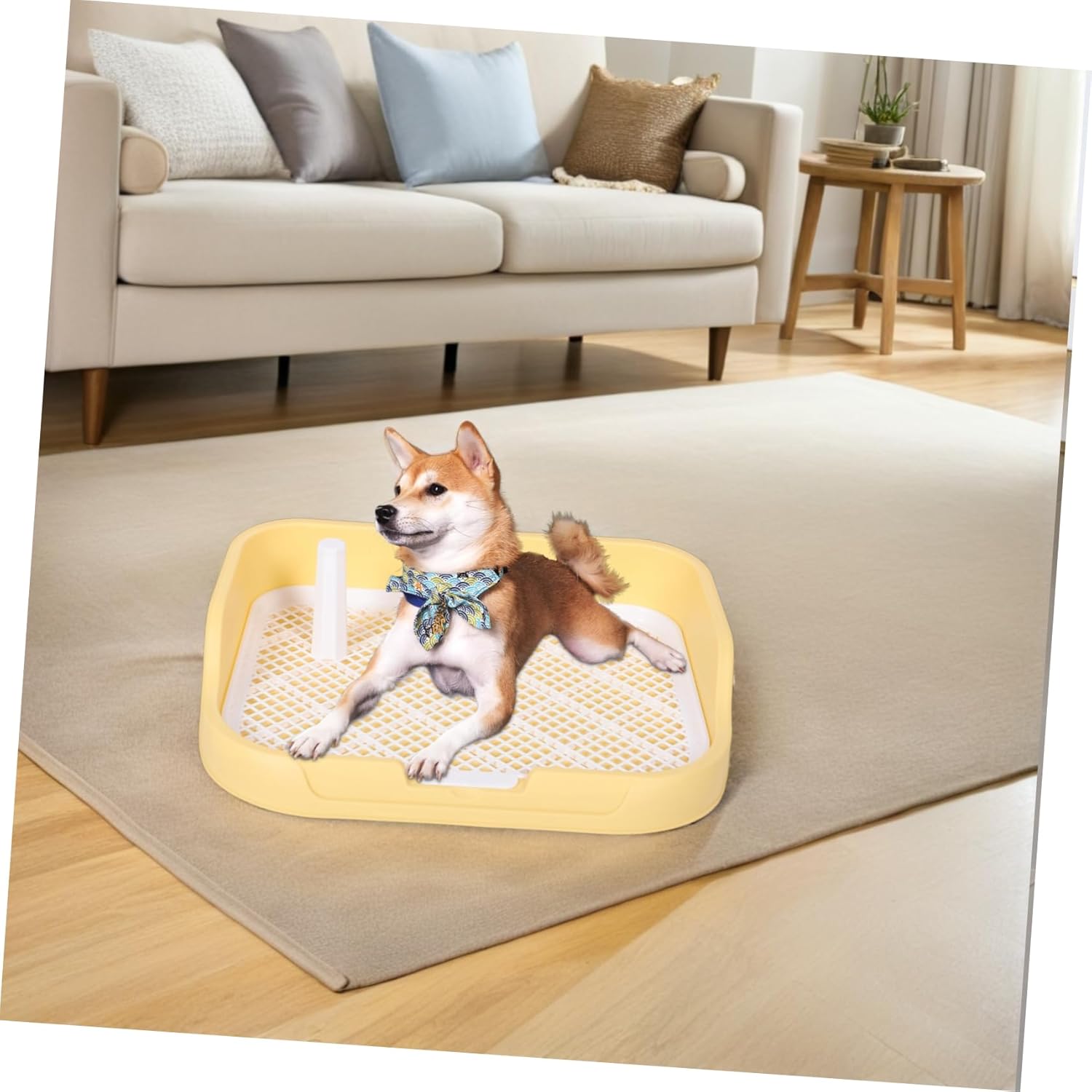 BESTonZON Dog Potty Tray with Removable Post and Raised Sides Indoor Pet Toilet for for Potty Training with Detachable Fence