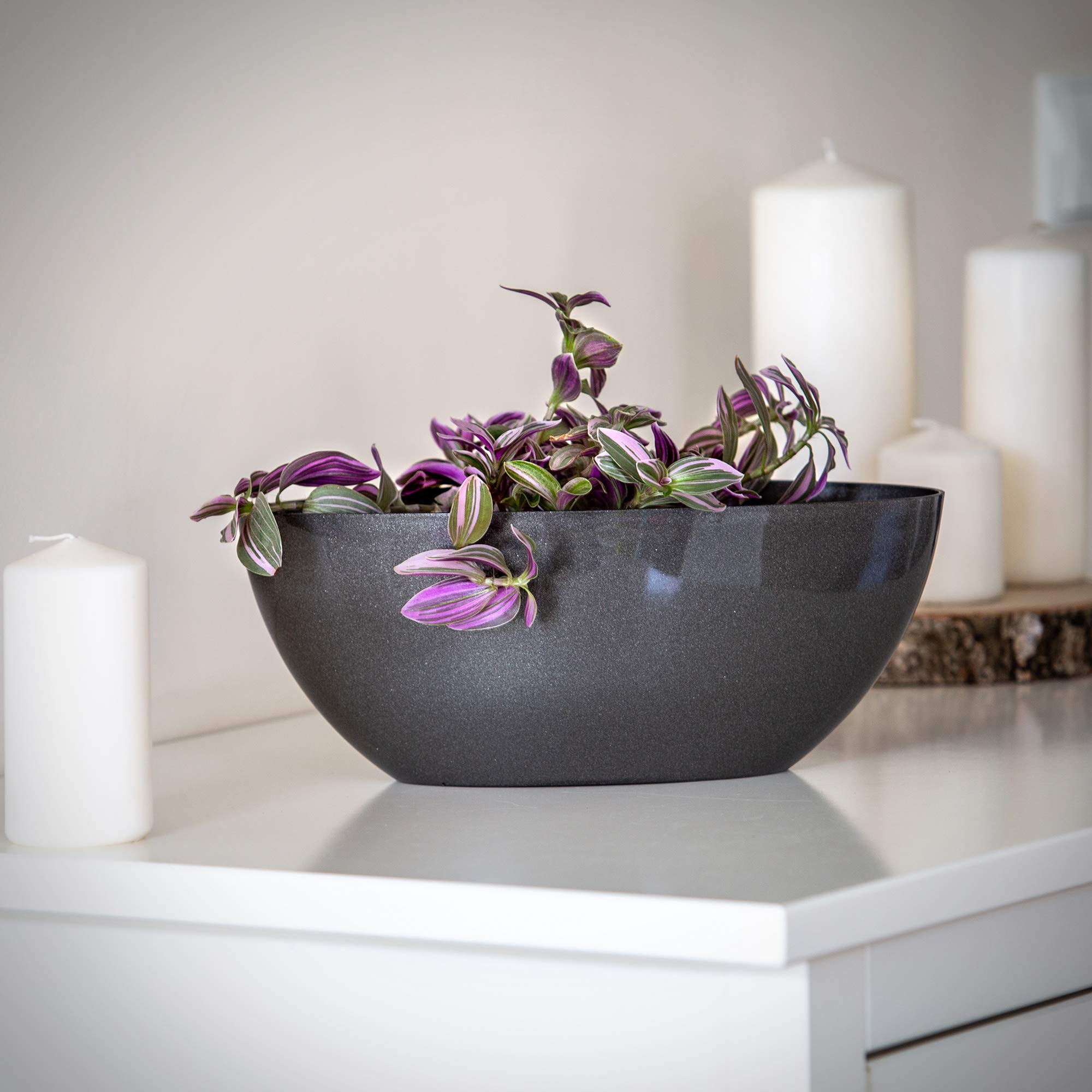 Vaso di fiori tonda con vasca Splofy Bowl in plastica colore | WhichOne