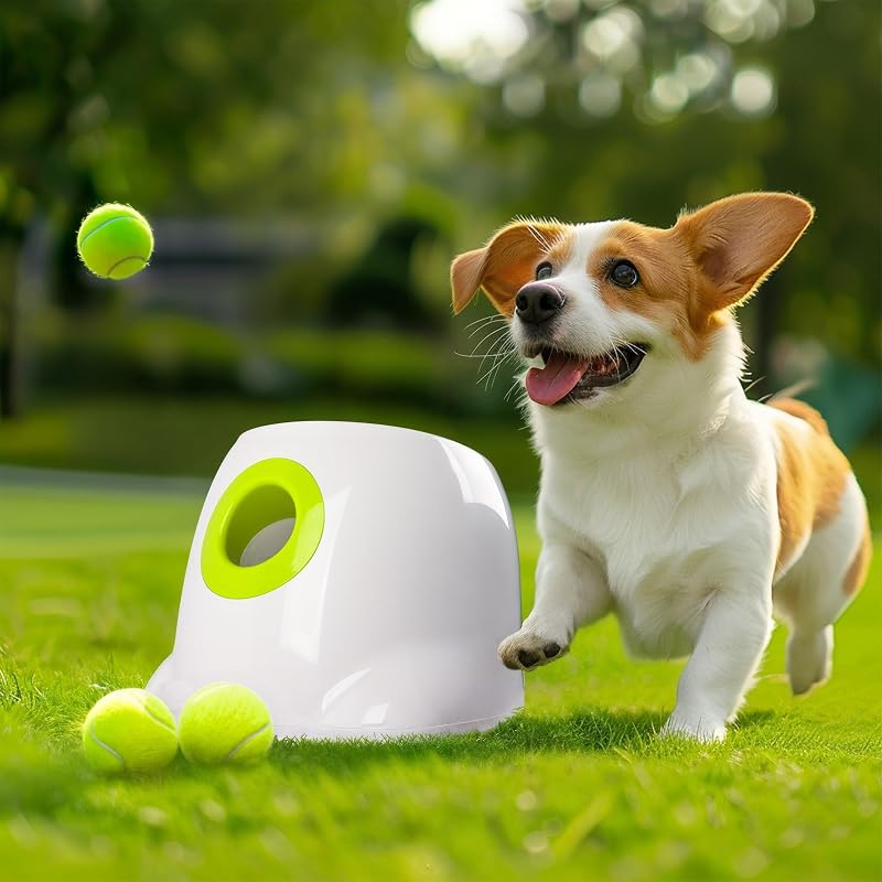 Lançador automático de bolas para cães com recarga USB ALL FOR PAWS, 3 distâncias e 3 bolas de 5,08 cm